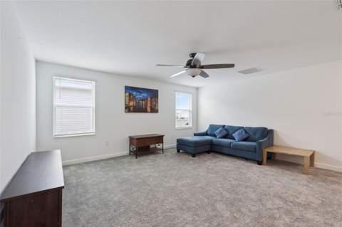 3373 Wauseon Drive, St Cloud FL - photo 13 of 60