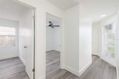 12114 Fruitwood Drive, Riverview FL - photo 21 of 37