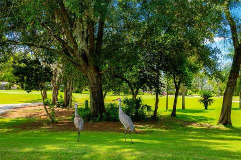 9322 Seve Court, Weeki Wachee FL - photo 18 of 75