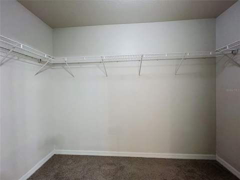 36095 Carriage Pine Court, Zephyrhills FL - photo 19 of 28