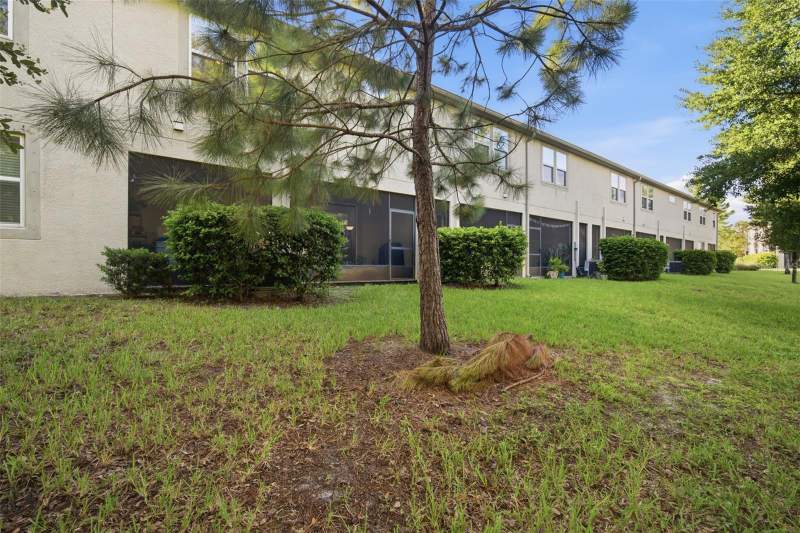 3 bedroom Townhouse at 14215 Pondhawk Lane, Lakeview/Citrus Park, Tampa — photo 3