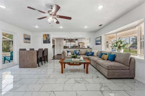 5017 Stolls Avenue, Tampa FL - photo 6 of 48