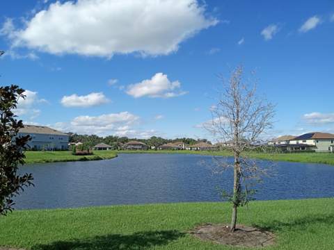 3604 Landing Net Drive, Kissimmee FL - photo 6 of 9