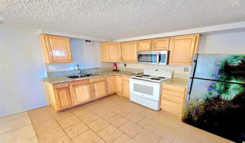 3806 Baden Drive, Holiday FL - photo 11 of 13