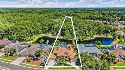 4561 Roanoak Way, luxury home for sale in Palm Harbor