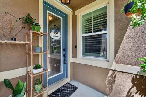 6511 Salt Creek Avenue, Apollo Beach FL - photo 10 of 94