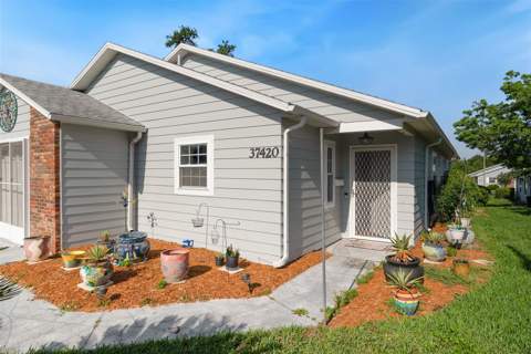 37420 Teaberry Loop, Zephyrhills FL - photo 22 of 45