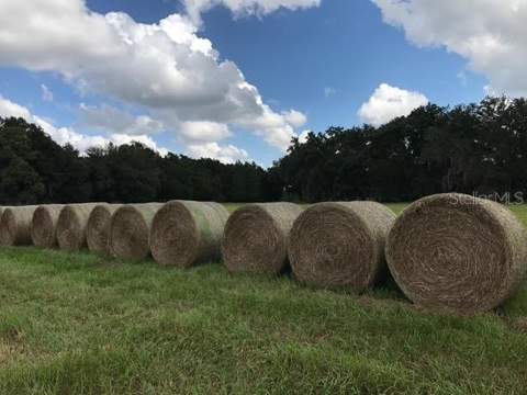 2736 Empire Church Road, Groveland FL - photo 14 of 14