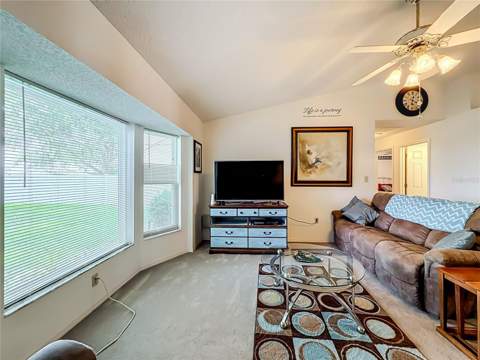 33909 Linda Lane, Leesburg FL - photo 14 of 75
