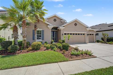 8118 Water Color Drive, waterfront for sale in Land O' Lakes