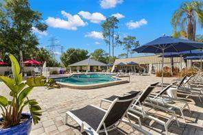 219 Palmetto Court #219, Oldsmar FL - photo 12 of 13