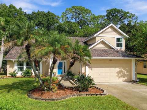 709 Jacaranda Drive, home for sale in Oldsmar 34677