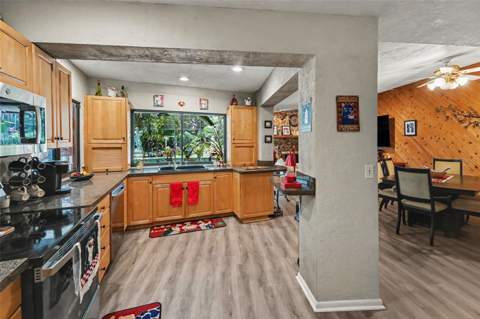 3061 Alt 19, Palm Harbor FL - photo 9 of 30