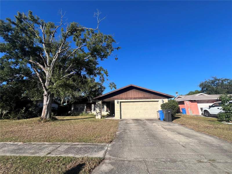 Carrollwood Meadows