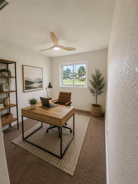 212 Driftwood Place, Palm Harbor FL - photo 17 of 60