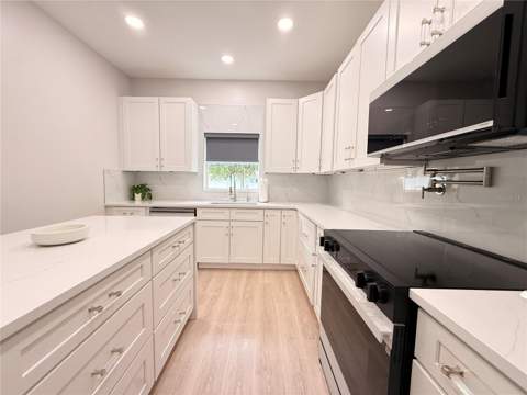 5802 Coquyt Drive, Mount Dora FL - photo 8 of 53