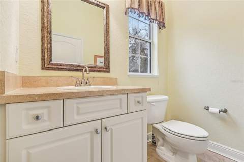 30342 Vitex Avenue, Eustis FL - photo 24 of 53