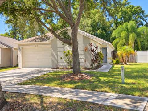 11125 Lake Tahoe Dr, home for sale in Riverview 33569
