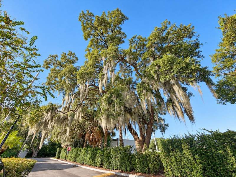 2 bedroom Condominium at 400 E Orlando Avenue #8C, Sleepy Harbour Apts Condo, Ocoee — photo 5