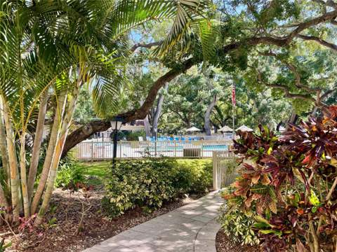 840 Virginia Street #303, Dunedin FL - photo 19 of 25