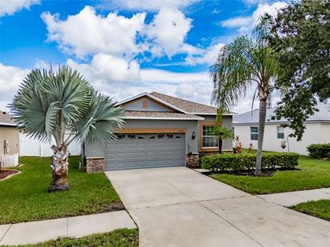 11526 Ashton Field, home for sale in Riverview 33579