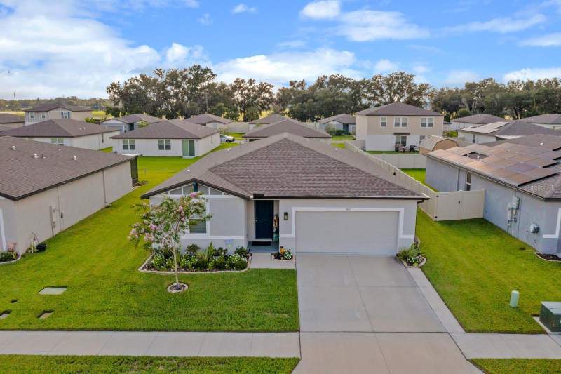 Lantana Grove