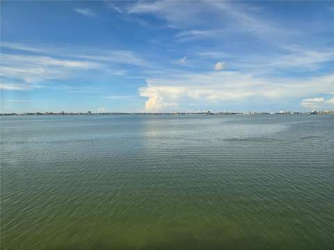 5980 Shore Boulevard #501, Gulfport FL - photo 6 of 32