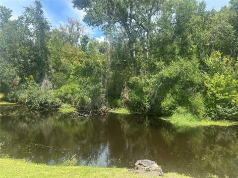 6421 Remus Drive, New Port Richey FL - photo 10 of 34
