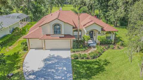 2409 Fox Forest Drive, home for sale in Lutz 33549