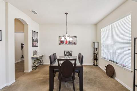 11121 Lemay Drive, Clermont FL - photo 11 of 67