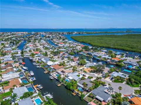 908 Sago Palm Way, Apollo Beach FL - photo 7 of 68