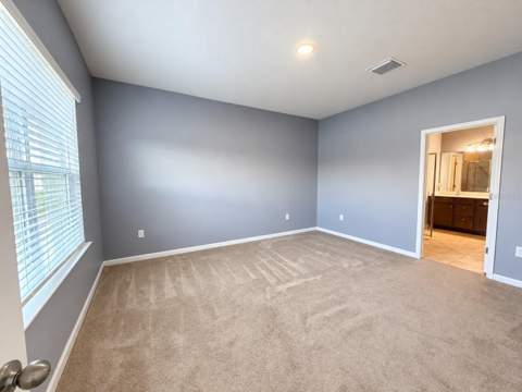 29307 Meadowcroft Avenue, Wesley Chapel FL - photo 14 of 36