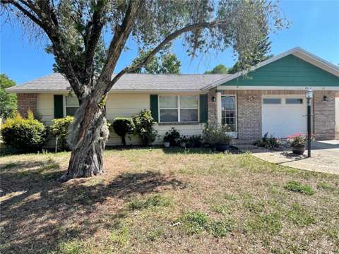 6944 Larchmont Ave, home for sale in New Port Richey 34653