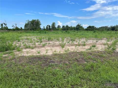 12946 Stillwater Cove Drive, home for sale in Astatula 34705