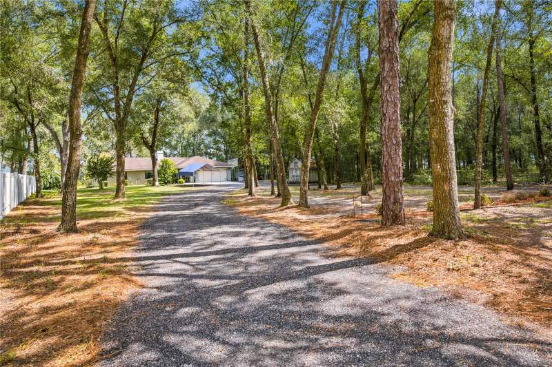 3 bedroom Single Family Residence at 3985 S Placid Avenue, Inverness Highlands West, Inverness — photo 3