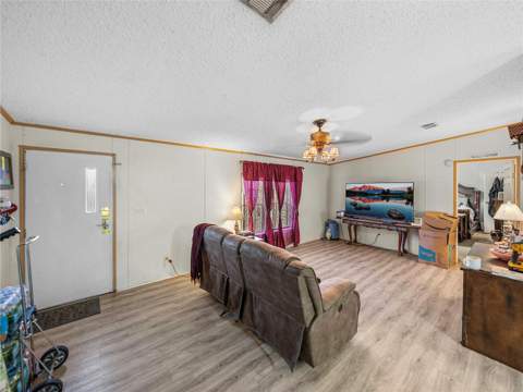 11404 Lithia Pinecrest Road, Lithia FL - photo 10 of 63