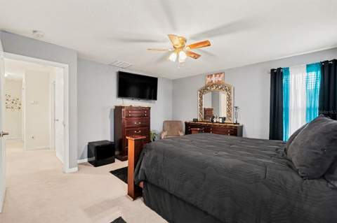 20443 Autumn Fern Avenue, Tampa FL - photo 19 of 30