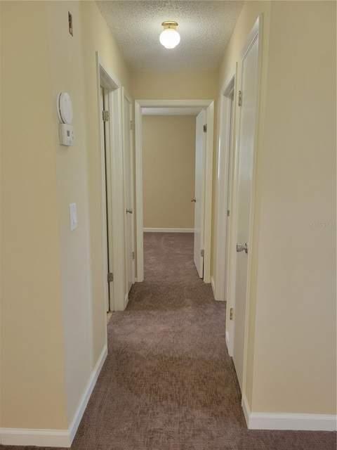 9022 Lingrove Road, Weeki Wachee FL - photo 16 of 52