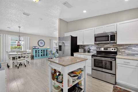 731 Cortez Avenue, Lady Lake FL - photo 12 of 34