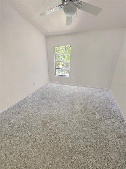 4924 Chatham Gate Drive, Riverview FL - photo 19 of 39