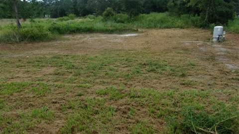 8410 SW 157th Lane, Dunnellon FL - photo 21 of 21