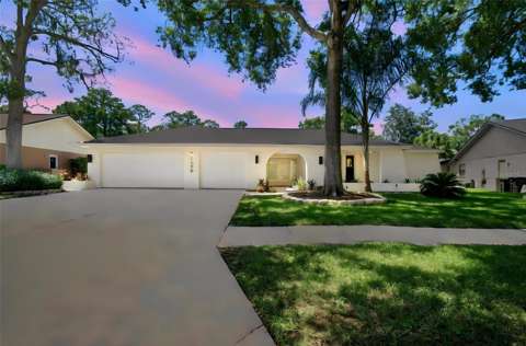 3126 Edgemoor Drive, home for sale in Palm Harbor 34685