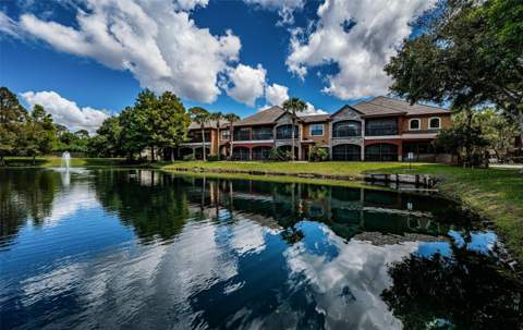 2138 Chianti Place #142, Palm Harbor FL - photo 6 of 49