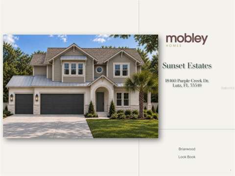 18460 Purple Creek Lane, luxury home for sale in Lutz