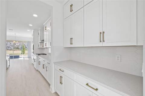 16788 Muskgrass Drive, Winter Garden FL - photo 20 of 77