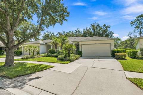 19031 Callaway Court, home for sale in Tampa 33647