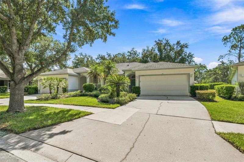 ClubviewHomes for Sale in Tampa, FL
