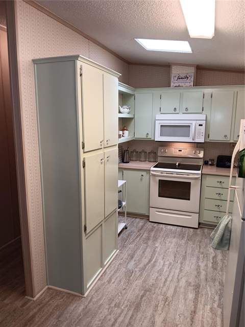 37536 Amigo Drive, Zephyrhills FL - photo 14 of 44
