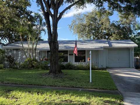 2905 Lemonwood Street, home for sale in Clearwater 33759