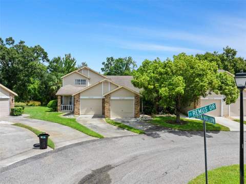 6421 Remus Drive, New Port Richey FL - photo 13 of 34